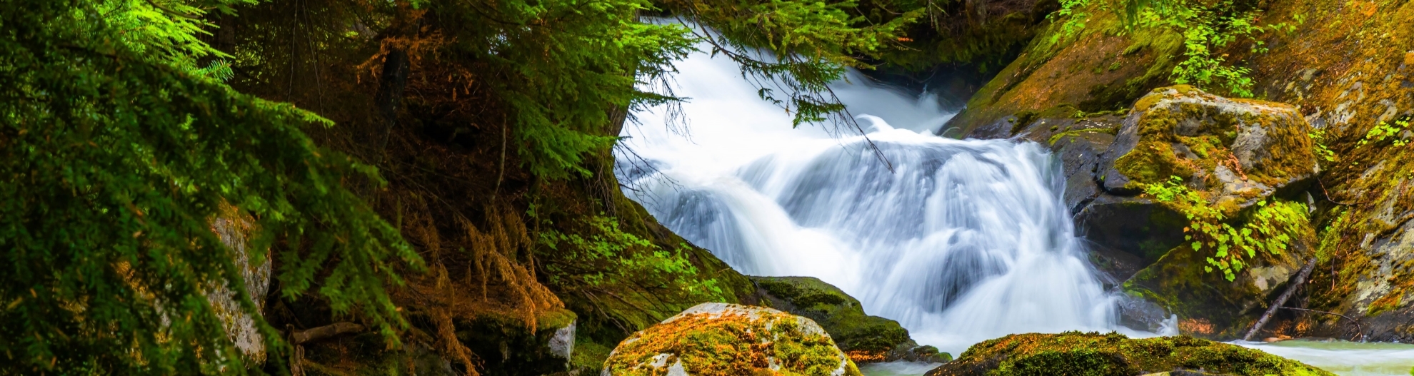 Scenic Forest River in Okanogan-Wenatchee National Forest